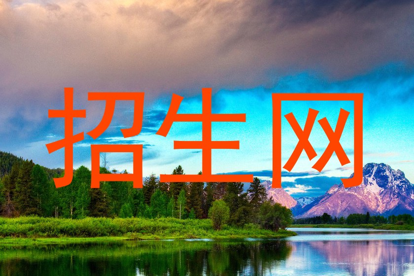 招生网