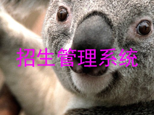 招生管理系统