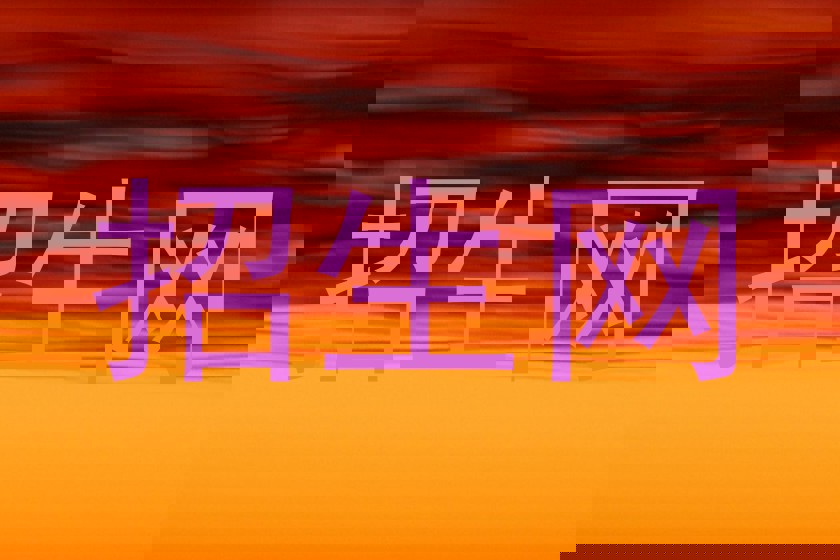 招生网