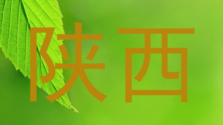 陕西