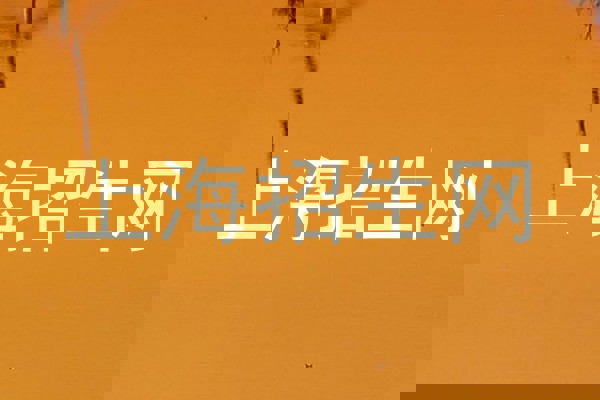 上海招生网