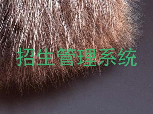 招生管理系统