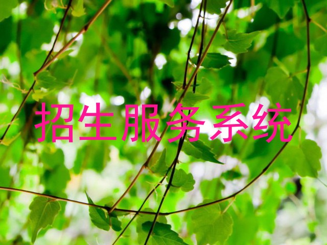 招生服务系统