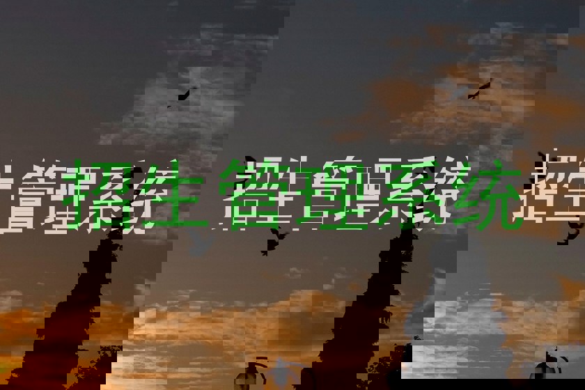 招生管理系统
