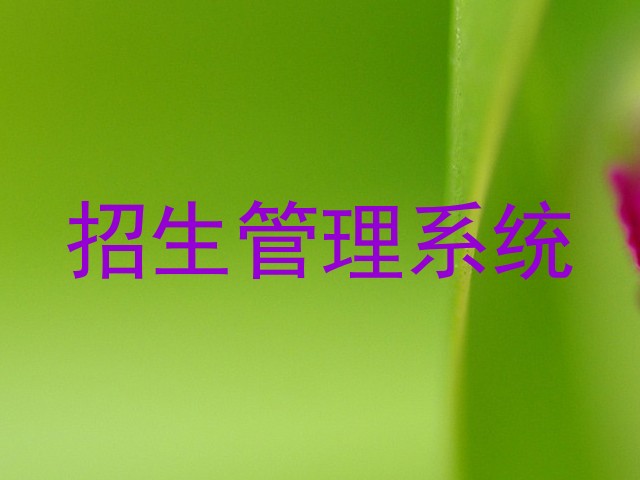 招生管理系统