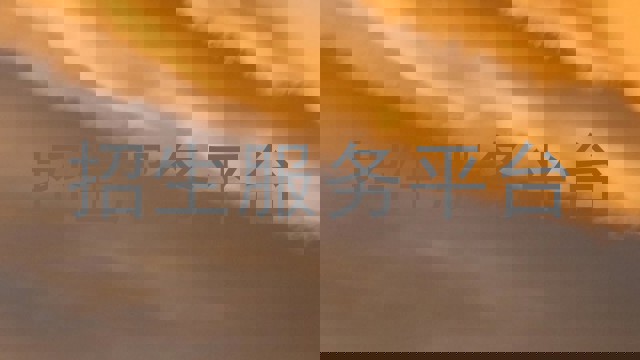 招生服务平台