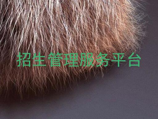 招生管理服务平台