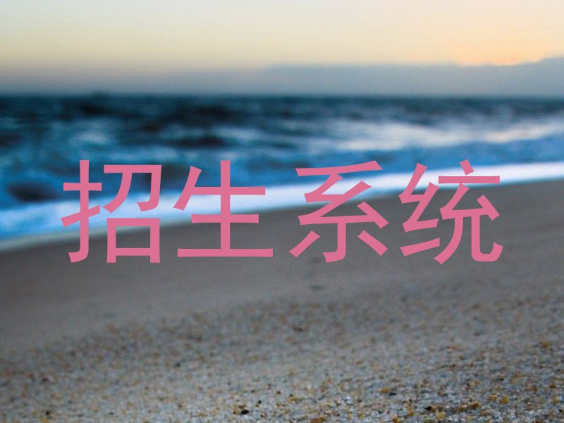 招生系统