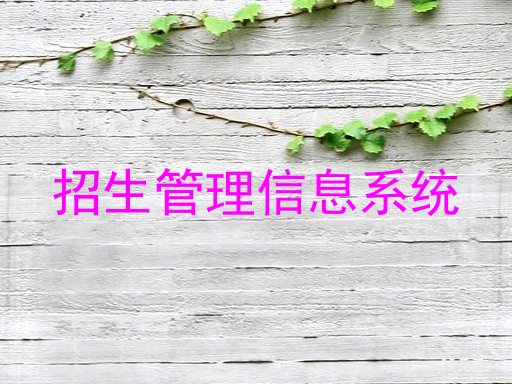 招生管理信息系统