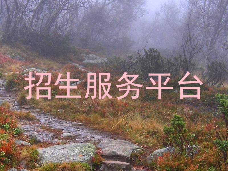 招生服务平台