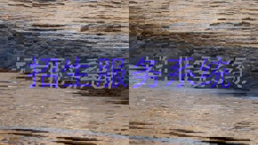 招生服务系统