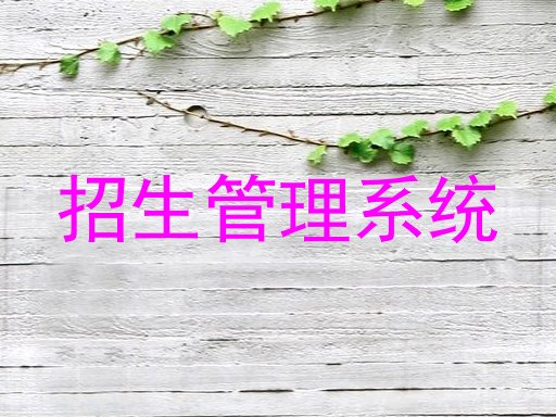 招生管理系统