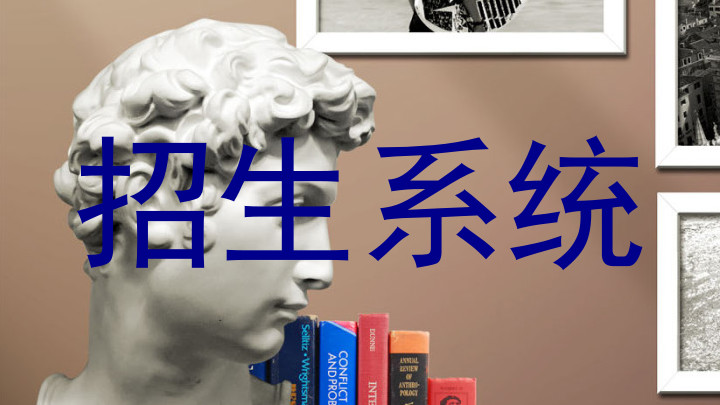 招生系统