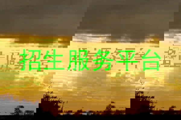 招生服务平台