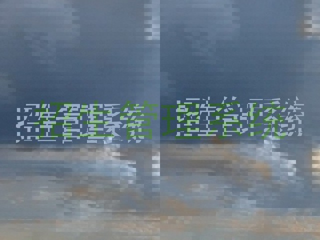 招生管理系统