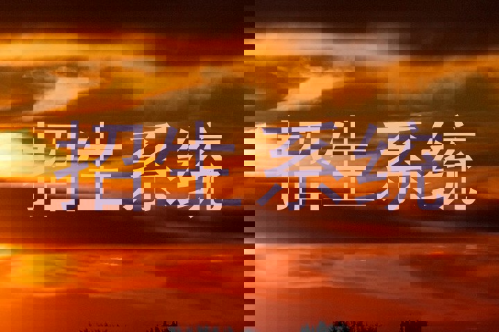 招生系统