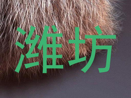潍坊