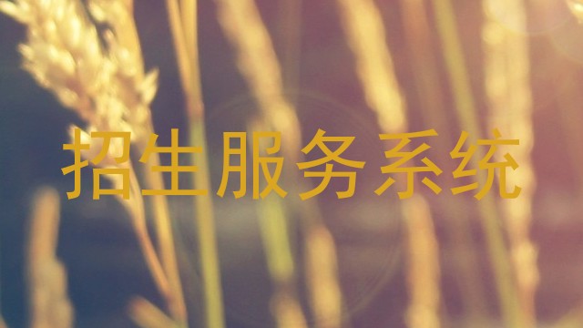 招生服务系统