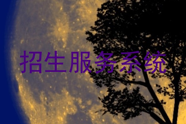 招生服务系统