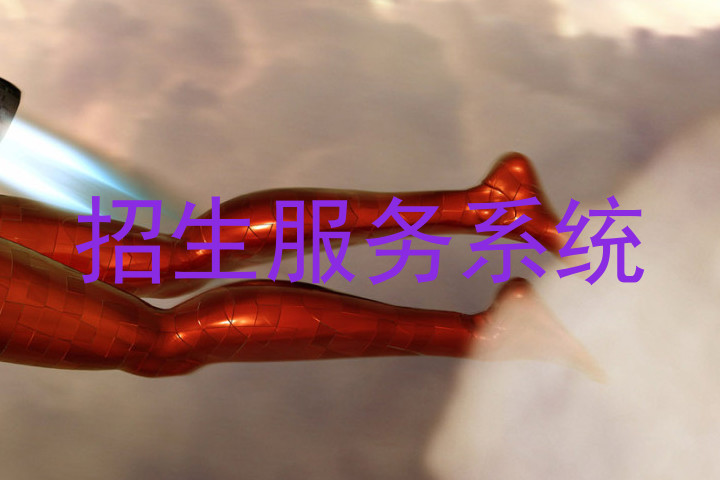招生服务系统