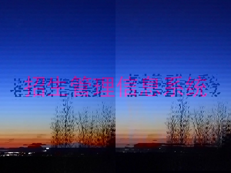 招生管理信息系统
