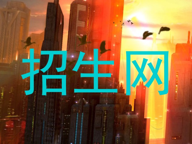 招生网