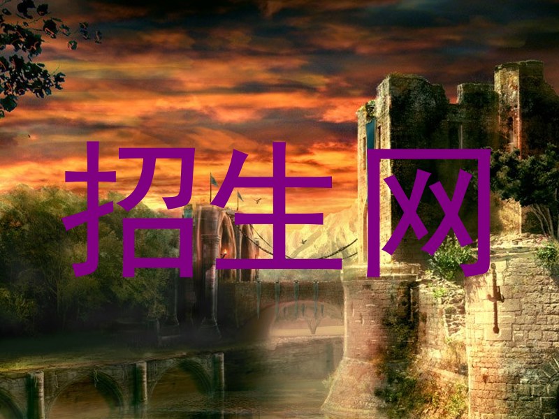 招生网