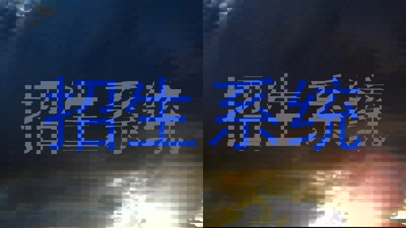 招生系统