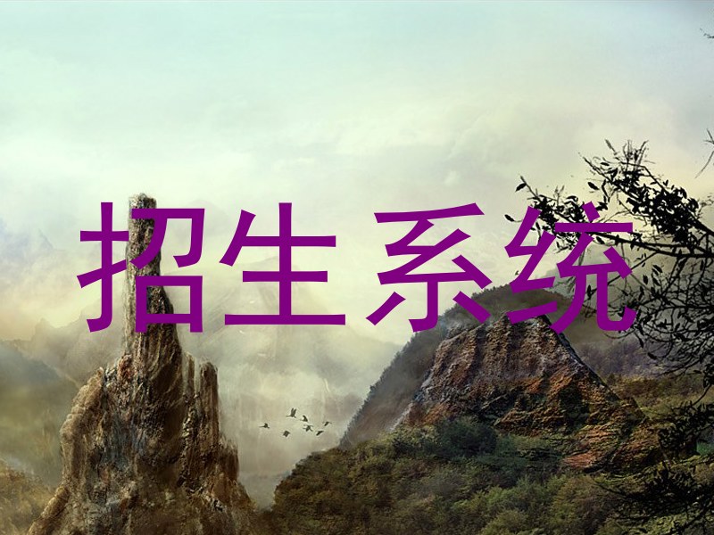 招生系统