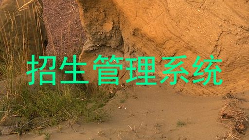 招生管理系统