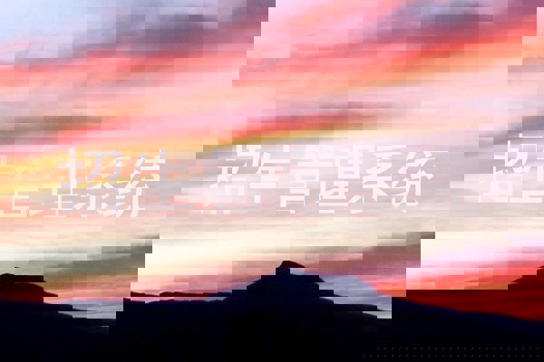 招生管理系统