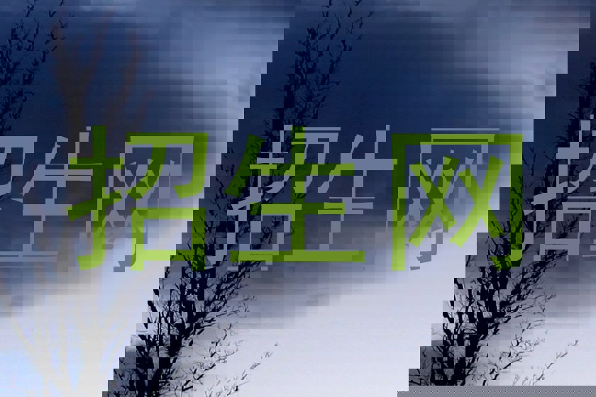 招生网