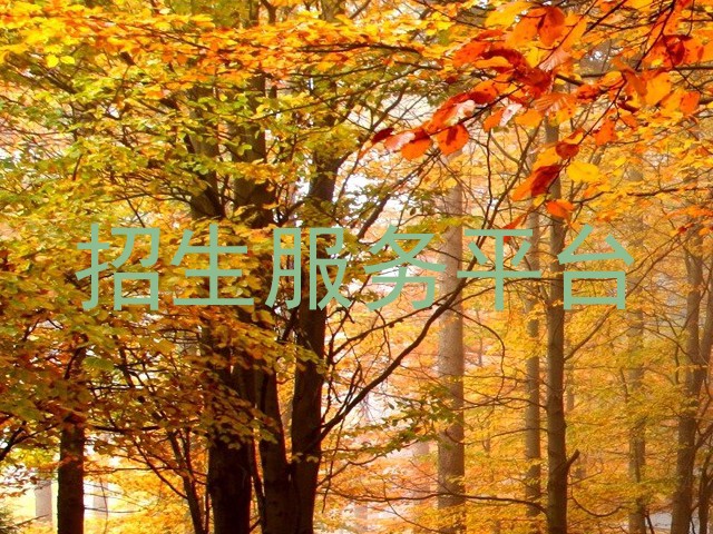 招生服务平台