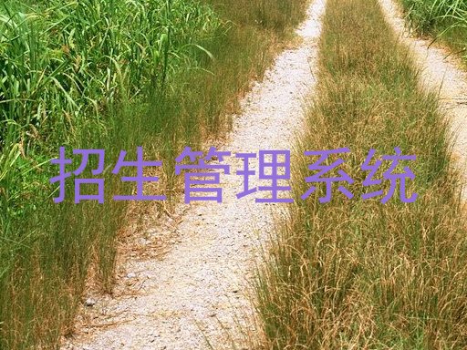 招生管理系统