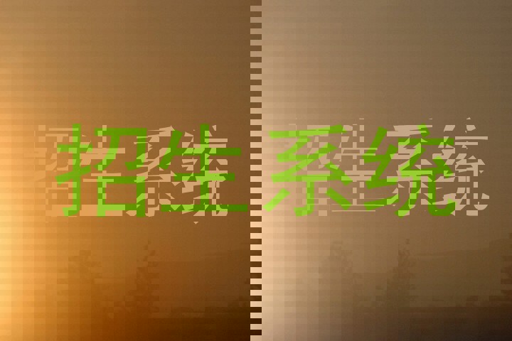 招生系统