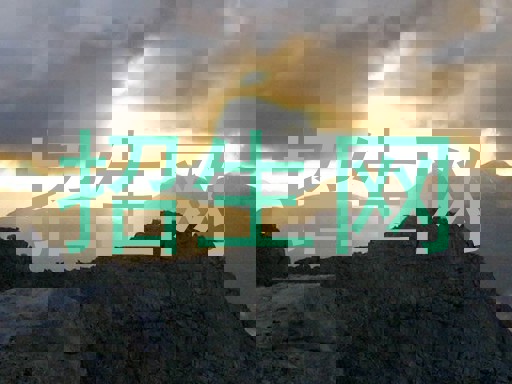 招生网