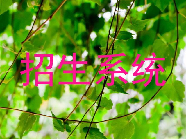 招生系统