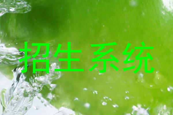 招生系统