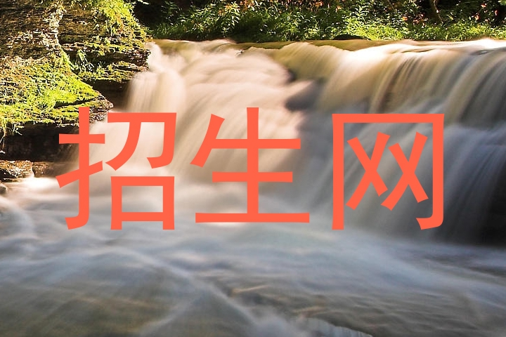 招生网