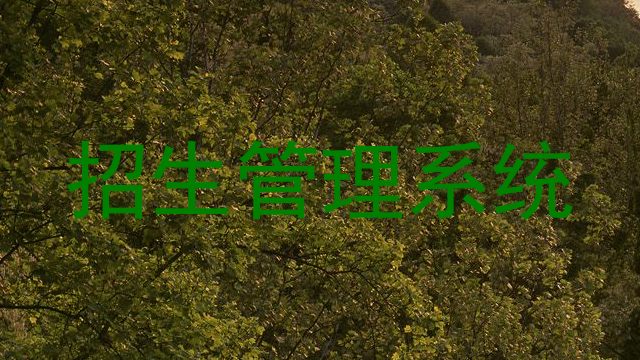 招生管理系统
