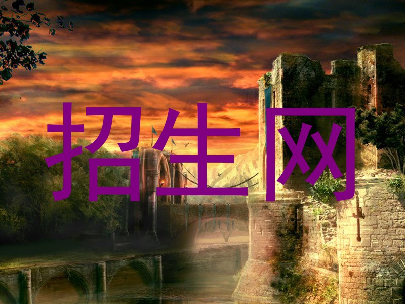 招生网