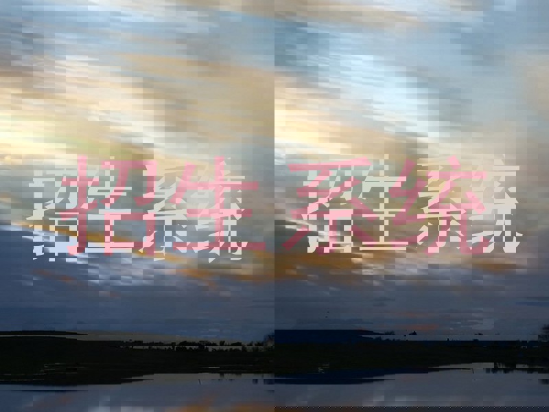 招生系统