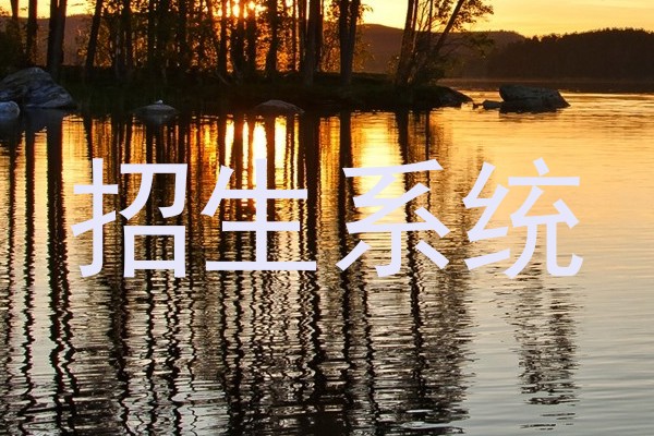 招生系统