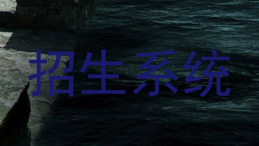 招生系统