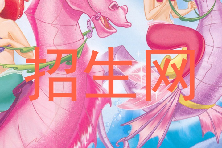 招生网