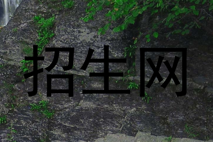 招生网