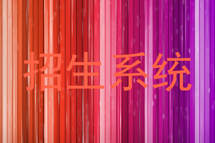 招生系统