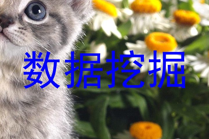 数据挖掘