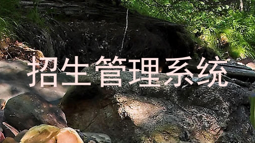 招生管理系统