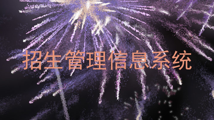 招生管理信息系统